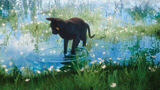 🐈‍⬛Perjalanan Fantasi Kucing⛵️