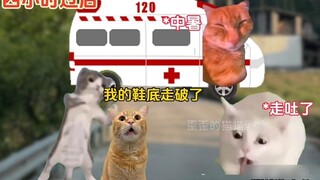 Thiếu niên bỏ trốn