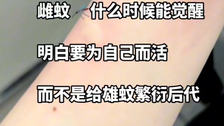 “Homo Sapiens TV” When will female mosquitoes awaken and realize they should live for themselves, ra