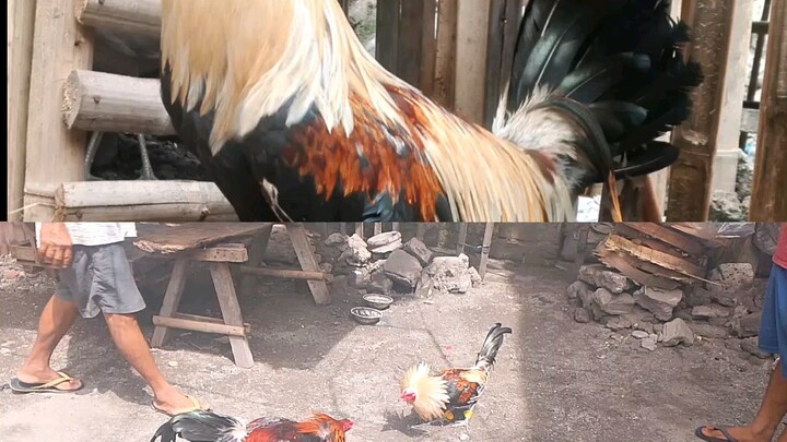 part 2