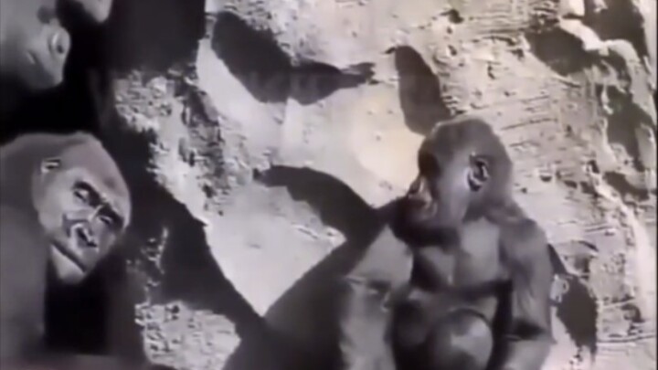 [TikTok Cringeworthy & Abstract Video Compilation #11]