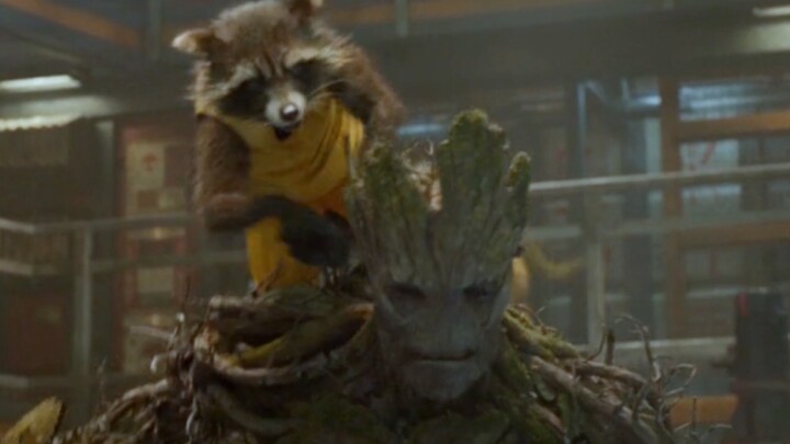 Groot: Bị Rocket dạy dỗ từ nhỏ đến lớn chính là số phận của tôi, tôi biết mà