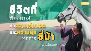 สายลับ เลิศรัตนชัย : ชีวิตที่ต้องต่อสู้กับความเจ็บปวดและความสุขจากการขี่ม้า : FEED