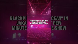 BLACKPINK IN JAKARTA - PINK OCEAN VIEW 🔥✨ #blackpink #bornpinkinjakarta #shutdown