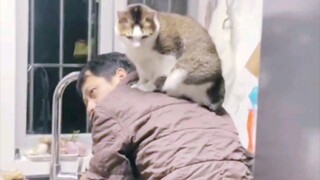 แค่ต้มบะหมี่ยังต้องββββββββเขาอีก!