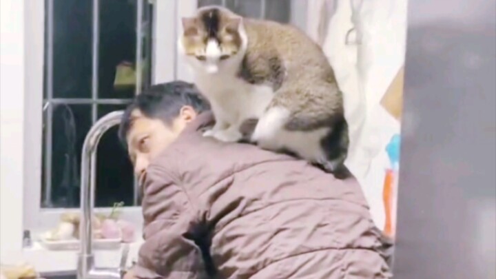 煮个面条都得ββββββββ他！