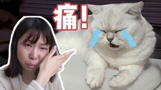 The cat's leg became lame after the injection, and the owner thought it would have to be amputated a