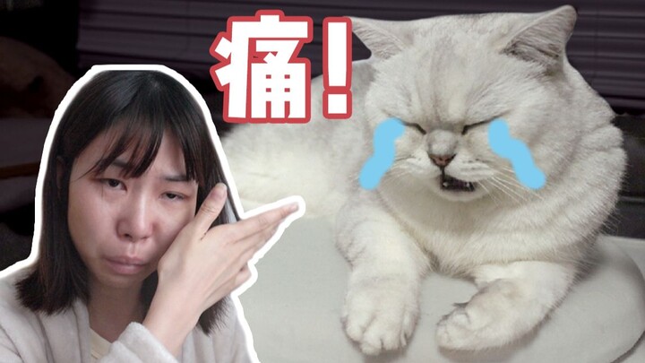 Kaki kucing itu menjadi pincang setelah disuntik, dan pemiliknya mengira kakinya harus diamputasi da