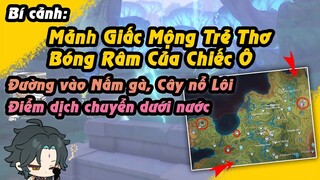 Full Mở khóa Bí cảnh ở Sumeru, điểm dịch chuyển dưới nước, đường vào Nấm Gà, Cây Nổ Lôi |Genshin 3.0