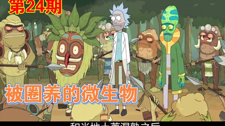 Rick and Morty: Rick raises microbes to help power his spaceship [Rick and Morty Episode 24]
