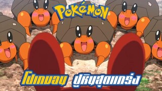 Pokemon Profile Ishizumai (Dwebble) Iwapalace (Crustle) โปเกมอน ปูหินสุดแกร่ง!!! แถมยังน่ารัก