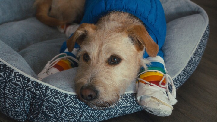 Watch Merv Full Movie 2025 HD - onoflix.ru