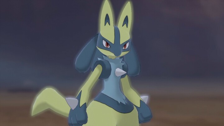 Lucario, the hero of Bird, the young lady, the trainer with a right heart is right here~