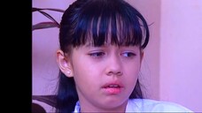 27 Monyet Cantik