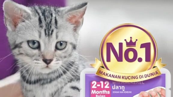 use thus brand for your cats beter health