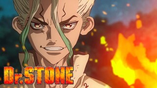 Lí Do Bạn Cần Xem Dr. Stone