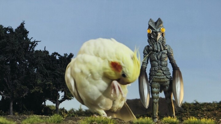 [Special Effects] Special feature on Xuanfeng Special Effects Production!