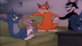 Tom dan teman kucingnya ketahuan menonton film di rumah