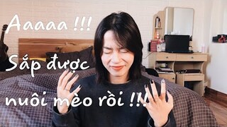 Cảm xúc khi sắp được nuôi mèo | Mình đã chuẩn bị những gì | HWAJANG