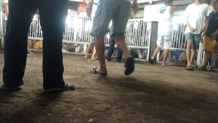 white leg 1x winner vs yellow leg white leg winn
