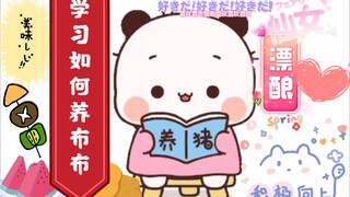 一二：学习如何养布布🍚🍚🍛