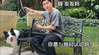 ตัวตนของเจ้าของสุนัขภายนอกถูกกำหนดโดยสุนัขของพวกเขา
