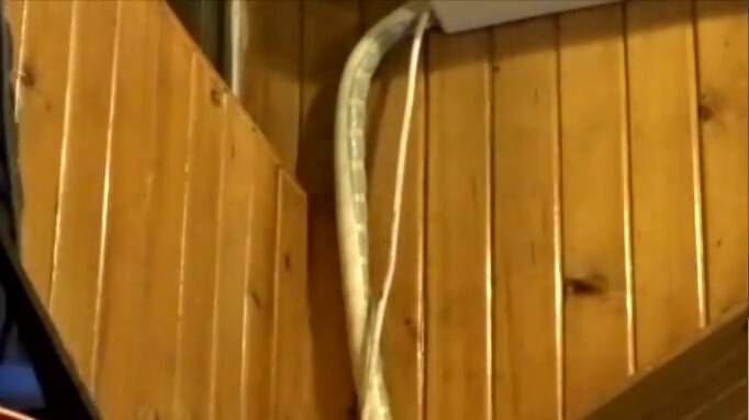 【Nỗi u sầu của Haruhi Suzumiya】God Knows Electric Guitar Cover