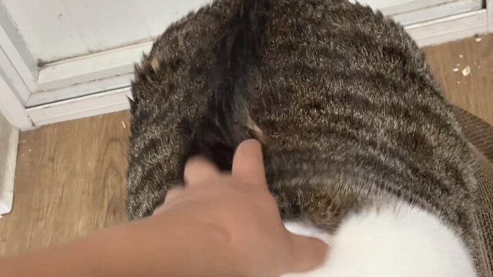จริงๆ แล้วฉันคิดว่าเขาเองก็น่าจะพลิกตัวกลับมาได้