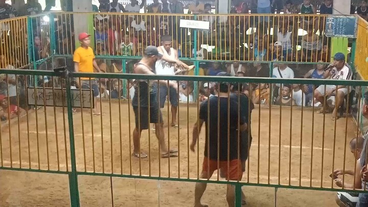 sweter dome first fight win dead on arrival.