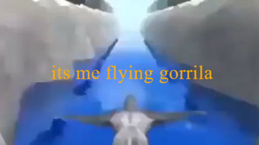 flying gorrila