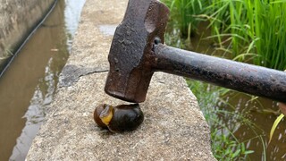 Seseorang seperti menghancurkan siput yang beruntung