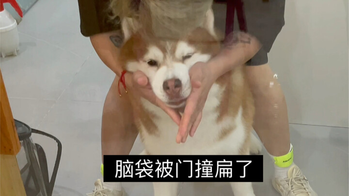 ข่าวดี: วันนี้ออกจากบ้านฝนไม่ตก ข่าวร้าย: ปวดหัว ปวดหัวมาก