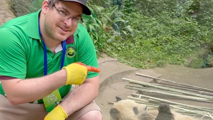 عائلة كتومة العروس تتابع الباندا العملاقة مباشرةً على الهواء!