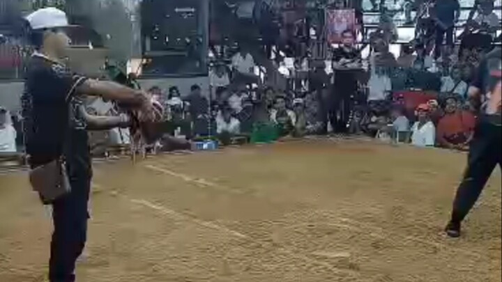 David vs Goliath