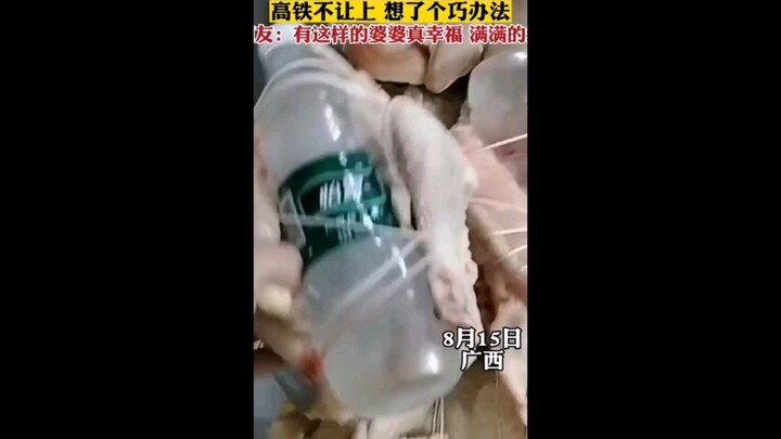 The mother-in-law brought a free-range chicken from the countryside for her daughter-in-law, but hig