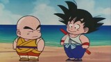 [Dragon Ball]Wukong and Krillin-from acquaintance to farewell