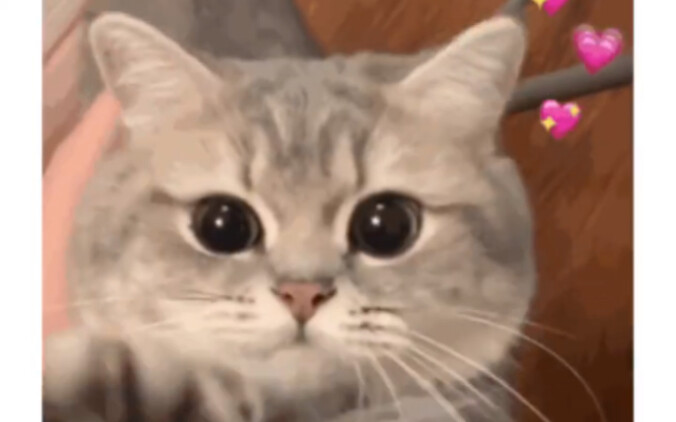 Why is this daughter’s mind so different from everyone else’s?