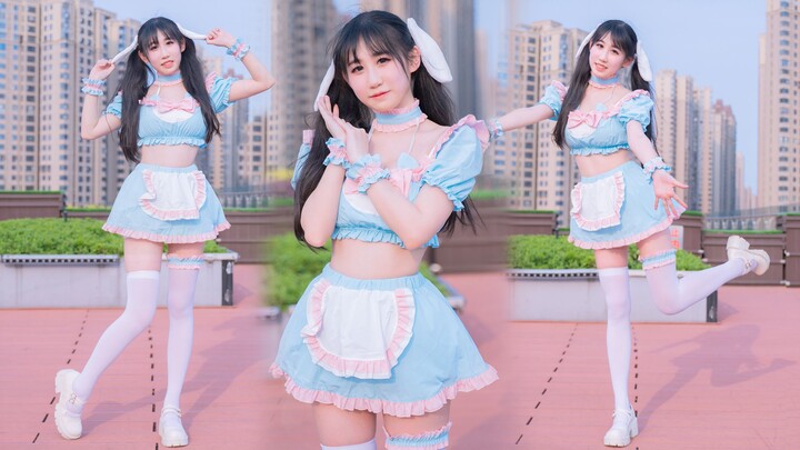Woohoo~ Sang master tersesat~ Bunny Maid sedang mencarinya secara online❤️Bunny Style