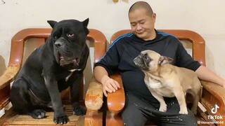 Relying on the scene😇😂🤣