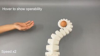 USTC develops octopus robotic tentacles, why do robots need human hands?