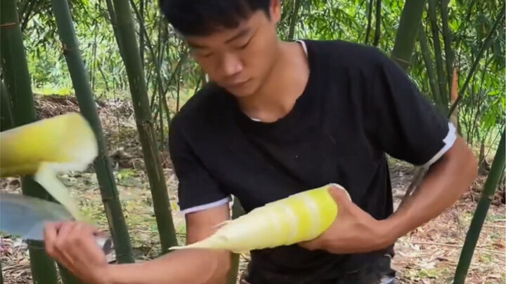 It rained a few days ago, so I was two days late harvesting the bamboo shoots, and they grew way too