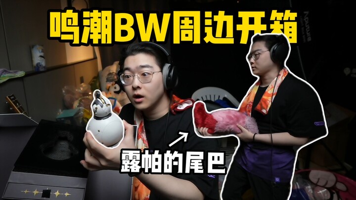 牢周开箱鸣潮bw周边 露帕尾巴+超帅且瓷实的声骸葫芦！【Zc杂货铺】