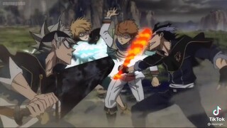 Don't You Dare Mess With One Of The  Black Bulls