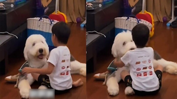 The cute baby looked for the dog after being scolded by his mother, hugged it and cried to vent and 