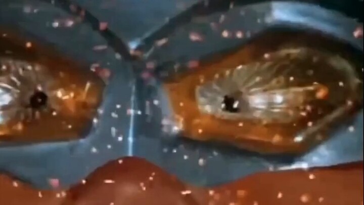 Lớp học cuối cùng trước kỳ nghỉ