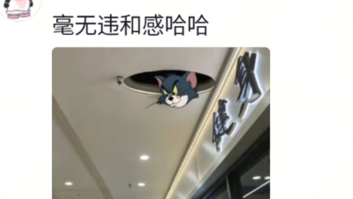 Tom and Jerry are still too iconic.