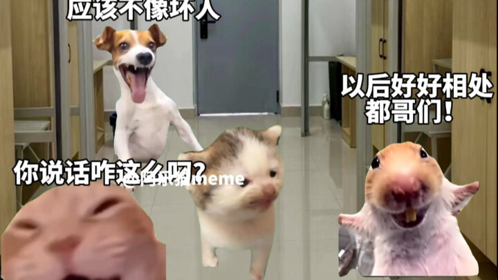 «سرعة تعارف البنات والشباب بعد شراء السيارة» #مسرح_ميمات_القطط #سكن_الطلاب_الذكور #البنات #محتوى واق