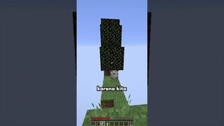 Mencoba Dunia 2D di Minecraft!!!