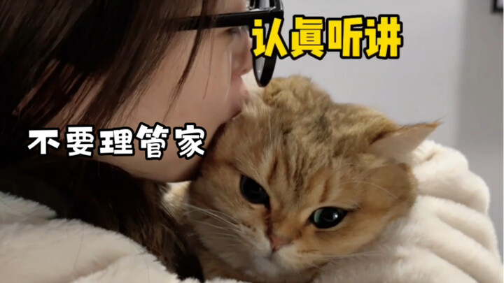 Why be a cat when you can be a dog?