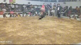 1st fight Gilmore sweater (2hits NGSC)